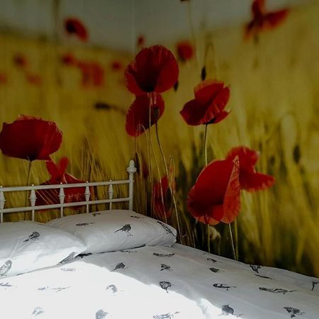 발레나쏘 Vinkenhof 6-8 Personen 빌라 외부 사진